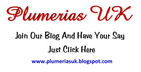 Join Our Blog - See What Everyone Else Is Saying About Plumerias